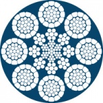 Tiger Blue 8